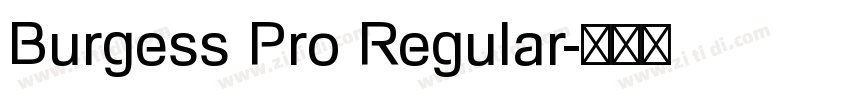 Burgess Pro Regular字体转换